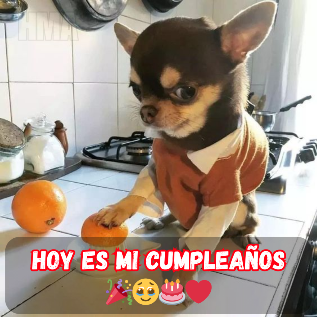 Cumpleaños solitario: Cuando el día especial se queda vacío porque nadie se acuerda 🎂😔