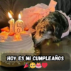 Cumpliendo un año más, pero ¿dónde están los buenos deseos que esperaba? 🎂😢