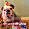 Deseos Olvidados: Mi Viaje de Cumpleaños a Través de la Soledad 🎉💔