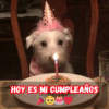 Desmitificando el gran día: cuando la emoción se desvanece con el paso del tiempo