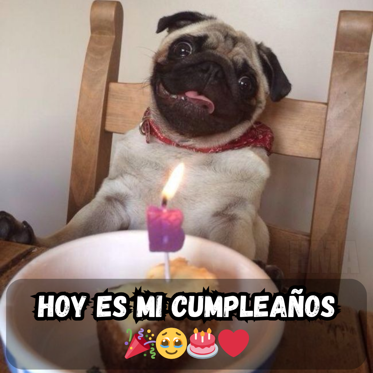 El Blues de Cumpleaños: ¿Por Qué Siento Que Nadie Lo Recordó? 🎉💔