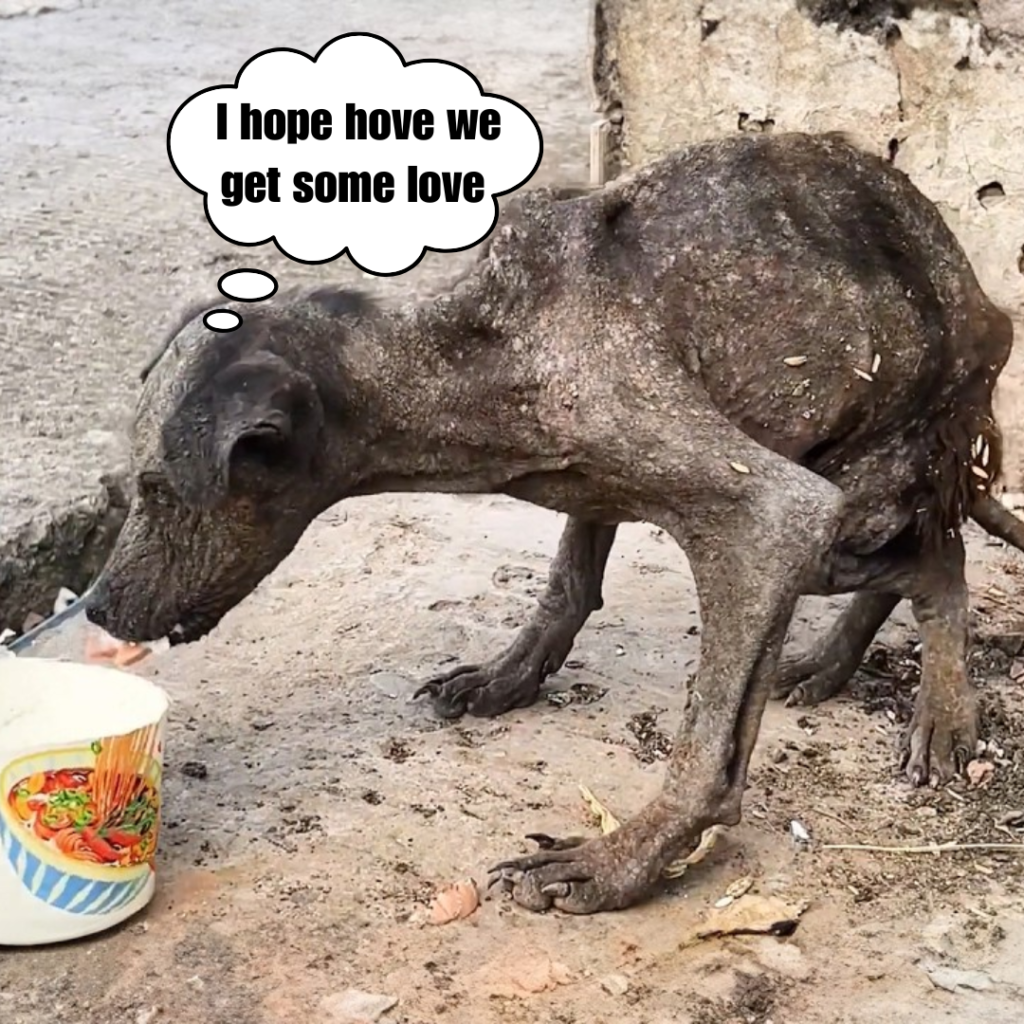 Emaciated stray dog, bat-like from malnutrition, struggles by the garbage, avoided by all.