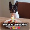 Es Mi Cumpleaños, ¿Pero Por Qué Siento Que Nadie Me Importa? 🎂😞  – hmai