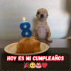 Es mi Cumpleaños y me Siento Solo: Reflexiones en un Día que Debería Ser Especial 🎂😔