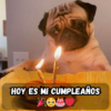 Es mi cumpleaños, pero en lugar de alegría, me siento olvidado 🎂💔