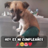 Es mi cumpleaños, pero la soledad se ha convertido en mi invitada 🎂🕯️- hmai