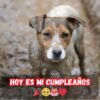 Es mi cumpleaños, pero parece que soy invisible... Aún esperando que lleguen los deseos de cumpleaños 😔🎂