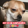 Es mi día especial, pero empiezo a preguntarme si alguien siquiera lo recuerda... Aún esperando los deseos de cumpleaños 😢🎂