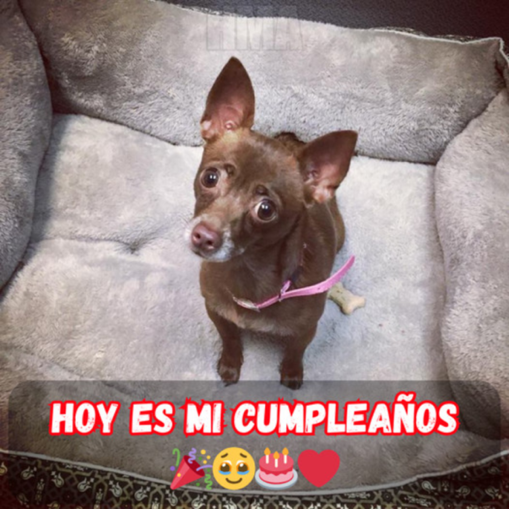 Espero con ansias que en mi cumpleaños me felicite mucha gente.hanh