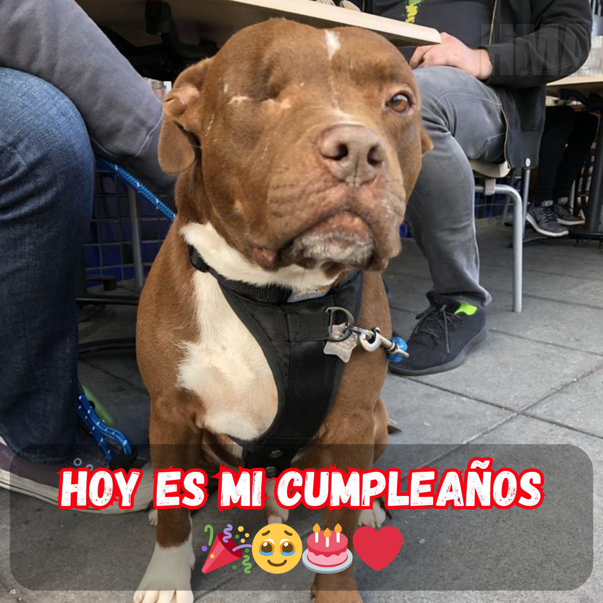 Este mundo es muy lindo por eso mi cumpleaños también es muy placentero y lleno de felicidad.