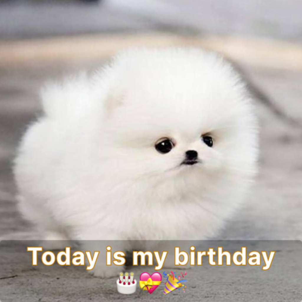 Every year, I celebrate my birthday alone, which makes me unhappy.