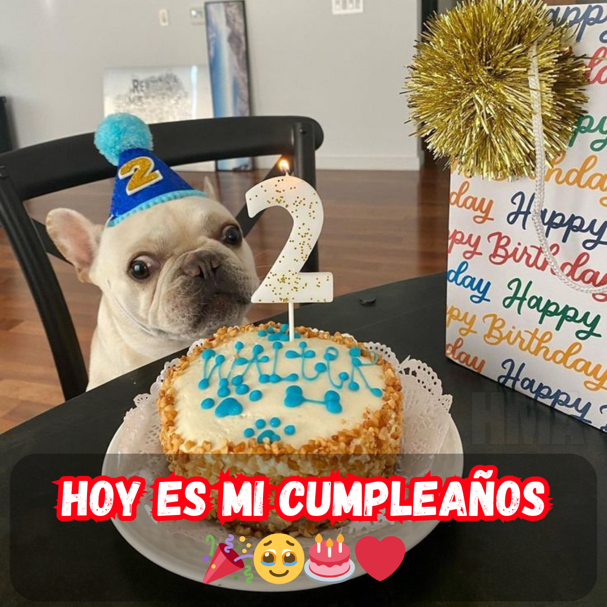 Feliz cumpleaños a mí... ¿alguien lo recuerda? 🎂😅