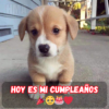 Fiesta de Cumpleaños Llena de Felicidad: ¡Un Día de Amor y Cosas Maravillosas! 🍾🎈