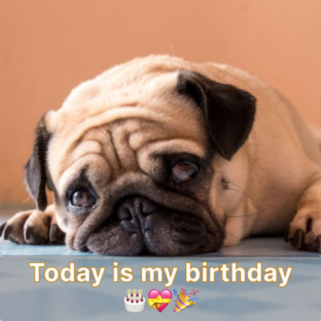 Greeting me with a "happy birthday" would be greatly appreciated, as today holds special meaning for me.