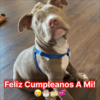 HAPPY BIRTHDAY TO Buffy.hanh