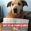 Hoy cumplo años, pero lo único que siento es soledad. ¿Por qué nadie me ha deseado lo mejor? 😔🎂