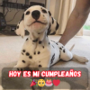 Hoy debería ser un día feliz, pero me siento solo... nadie se ha acordado de mi cumpleaños 🎂💔