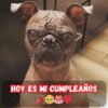 Hoy debería ser un día feliz, pero mi cumpleaños solo me trae soledad 🎉😢