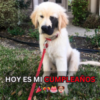 Hoy es mi cumpleaños, pero a medida que pasan las horas sin recibir un solo deseo, una tristeza silenciosa invade mi corazón.hanh