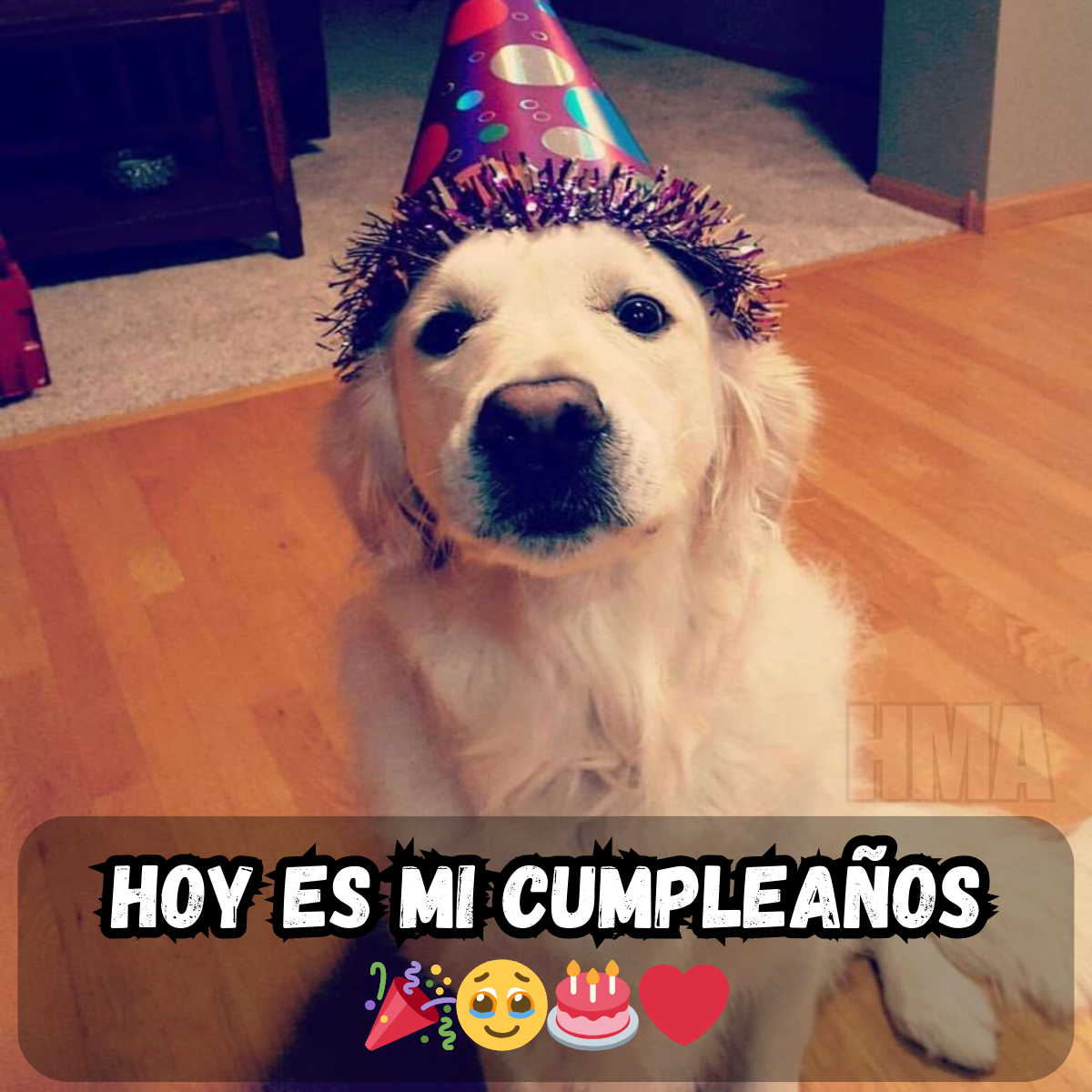 Hoy es mi cumpleaños, pero el silencio me acompaña 🎂💔