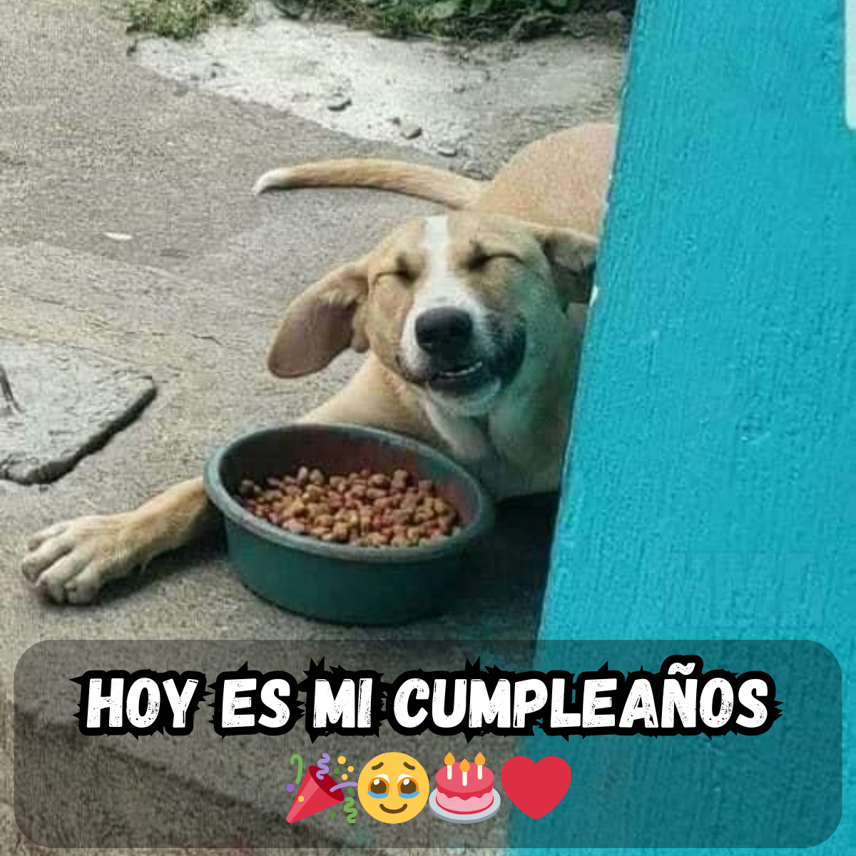 Hoy es mi cumpleaños, pero nadie lo sabe, a nadie le importa – Sintiéndome perdido 🎂💭