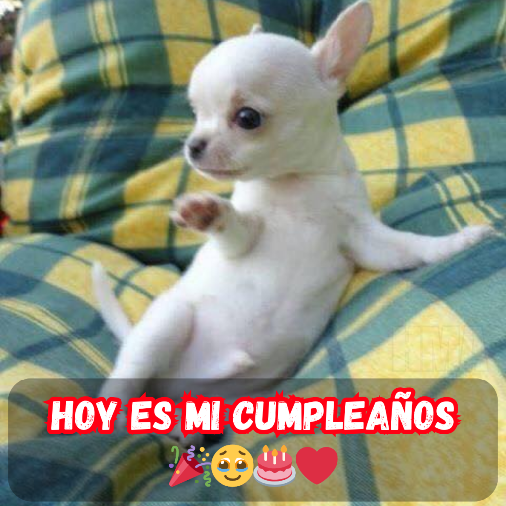 Hoy es mi cumpleaños, pero no he recibido ni un solo ‘Feliz cumpleaños’ aún… Me siento un poco olvidado 😔🎂 – hmai