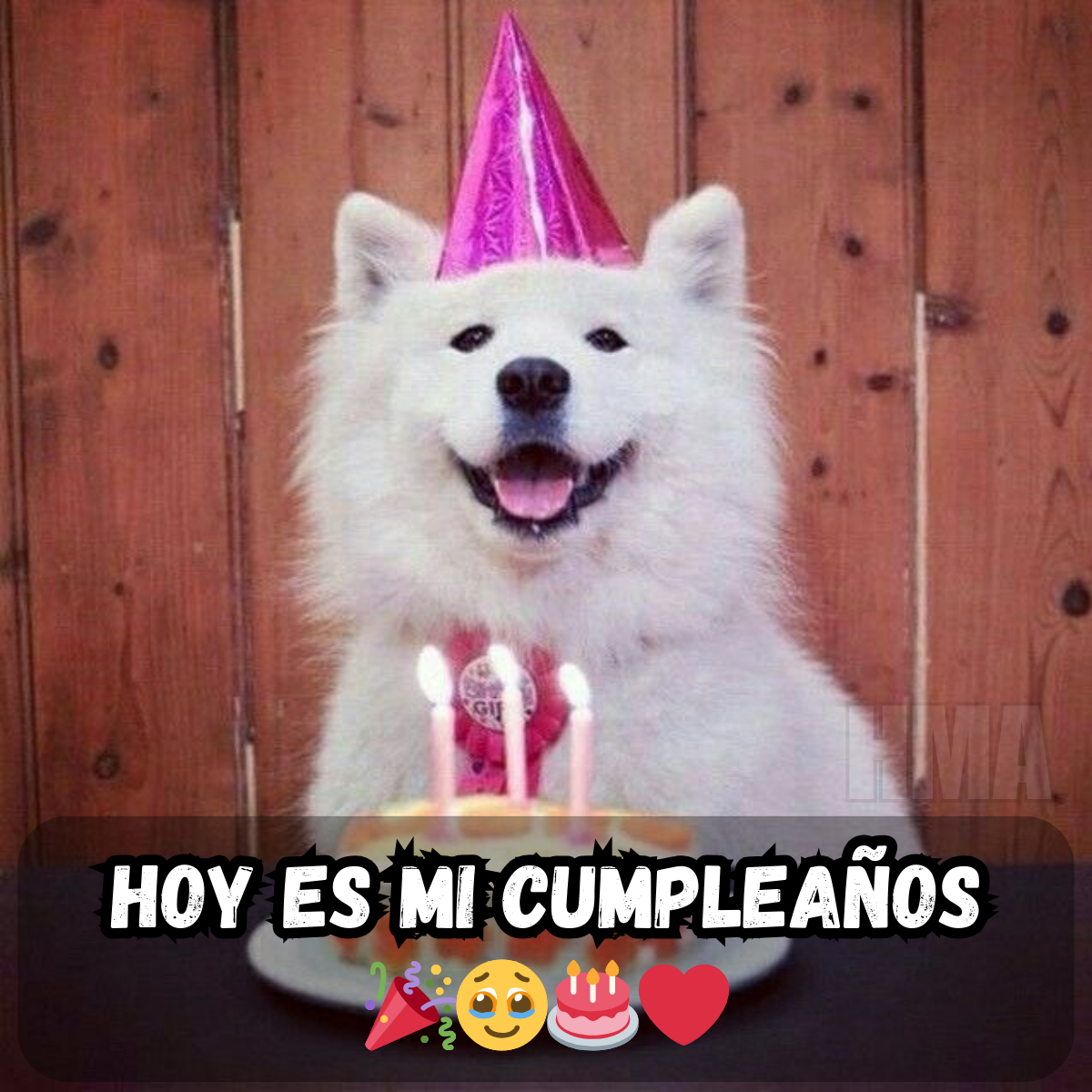 Hoy es mi cumpleaños, y estoy solo, solo con recuerdos como compañía 🎂💭