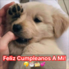 Hoy es mi cumpleaños y me haría muy feliz recibir tus felicitaciones.hanh