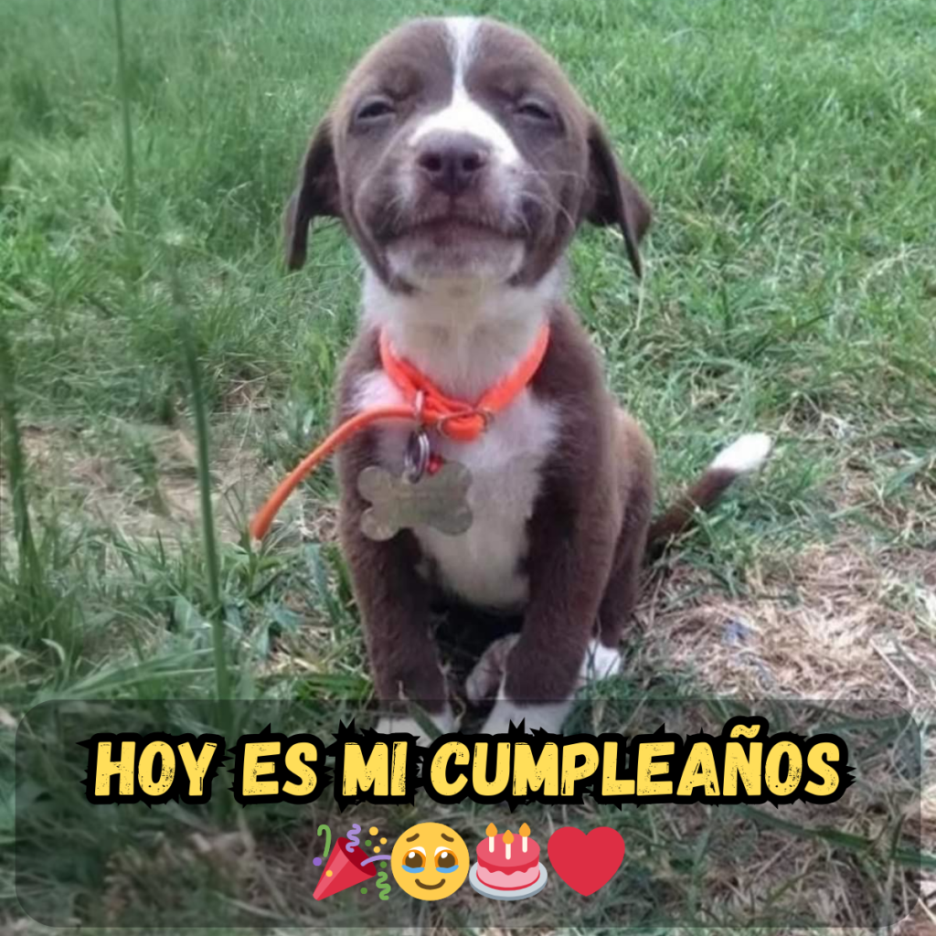 Hoy es mi cumpleaños y quiero contagiar esta alegría a todos.