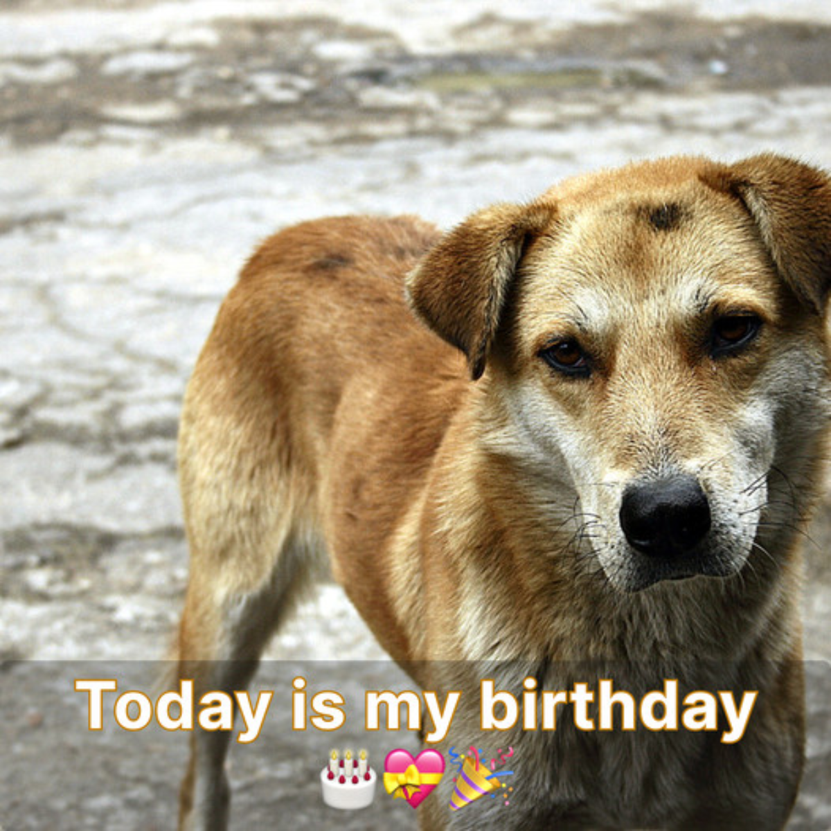 I am depressed since no one congratulated me on my birthday, which is today.