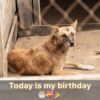 I feel so sorry for myself because it's my birthday today and I still haven't gotten any birthday wishes.