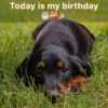 I felt depressed and abandoned because no one remembered my birthday celebration.