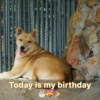 I was depressed since nobody seemed to be aware of my birthday, despite the fact that the day was beautiful and sunny.