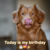 I'm celebrating my birthday today, and your thoughtful message truly brightened my day.hanh