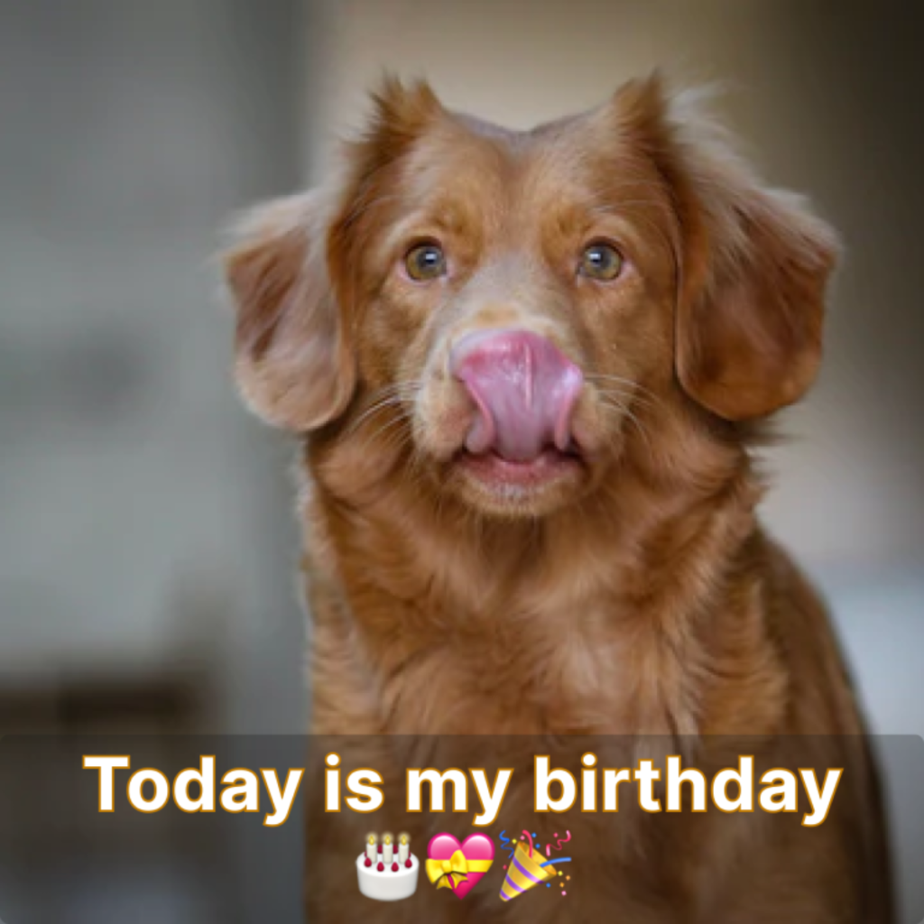 I'm celebrating my birthday today, and your thoughtful message truly brightened my day.hanh