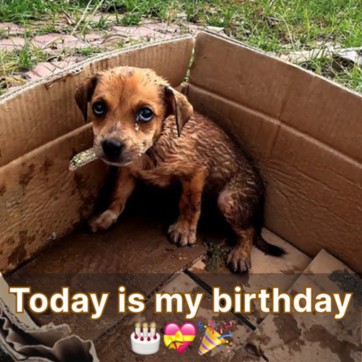 I'm celebrating my birthday today, but I haven't gotten any birthday greetings yet.