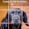 I'm depressed since no one seems to care that it's my birthday today.