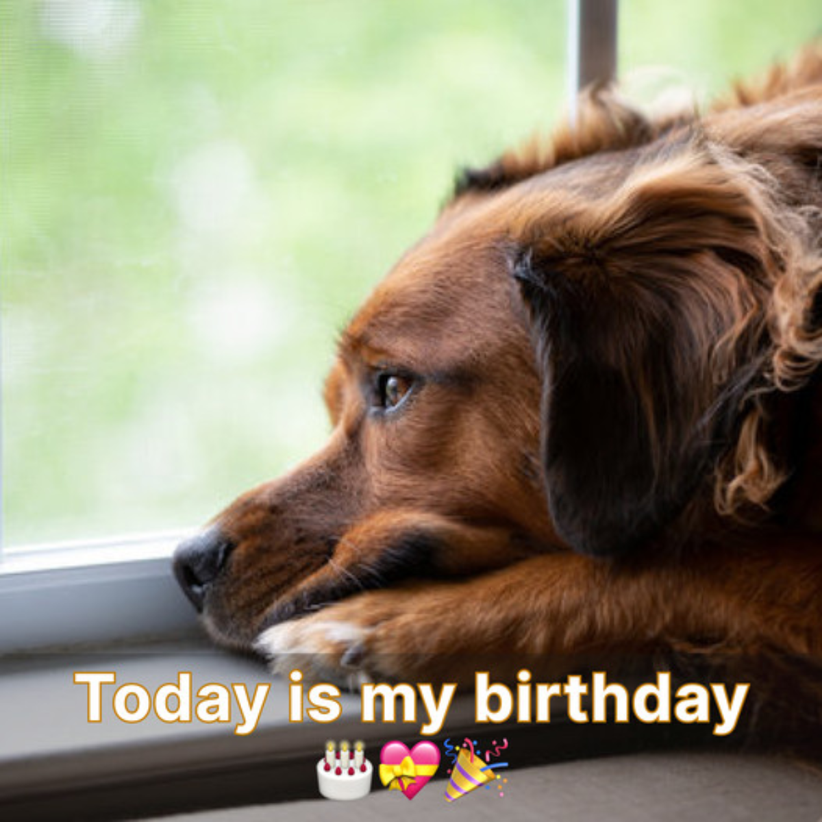 It is a really important day for me because it is my birthday today.