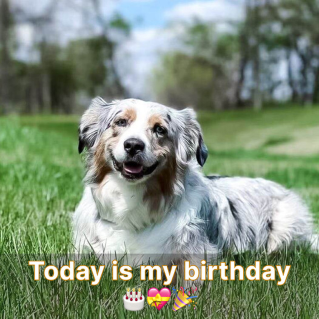 It seems like my pals have forgotten about my birthday, which makes me unhappy.