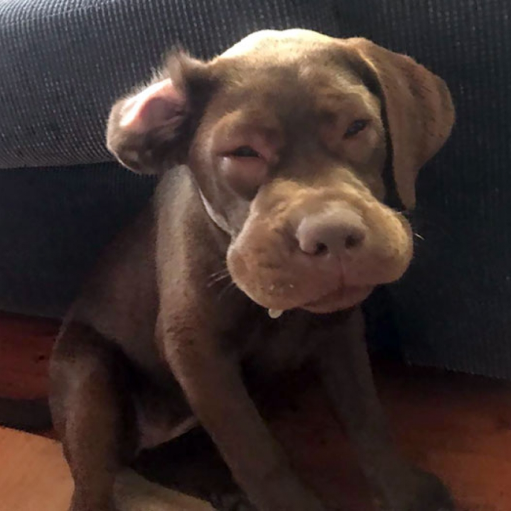 It's My Birthday, but I Haven't Received Any Birthday Wishes Yet.