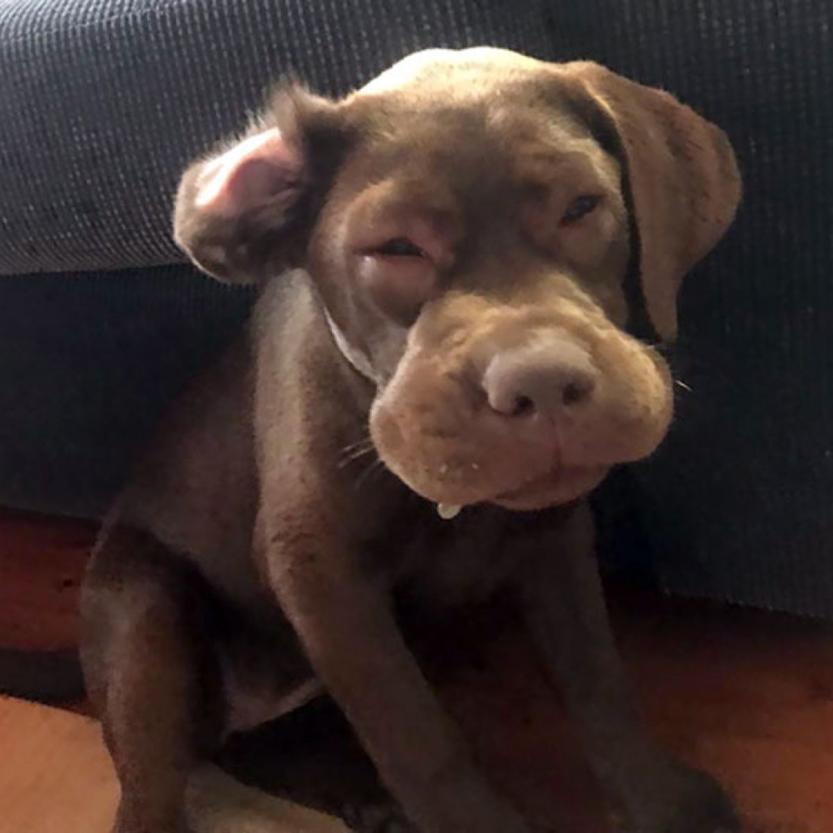 It's My Birthday, but I Haven't Received Any Birthday Wishes Yet.