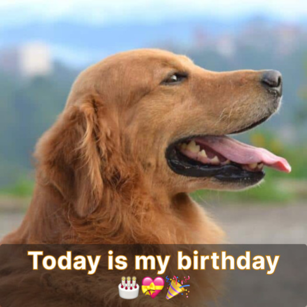 It's my birthday today. I feel alone because no one has congratulated me.