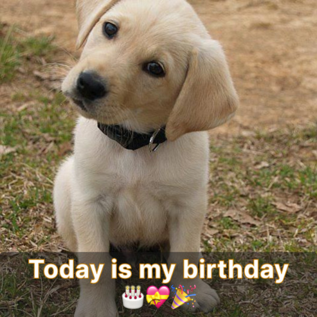 It's my birthday today. I truly want to let you experience that happiness.