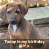 It's my birthday today, and I hope you will congratulate me.