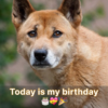 It's my birthday today, and your warm wishes mean the world to me.