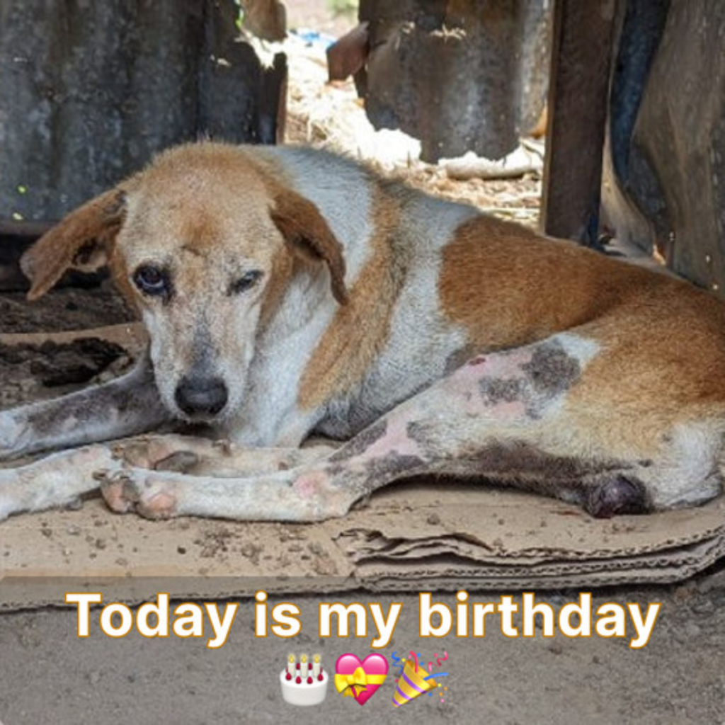 It's my birthday today, but those around me ignore me as they believe I am not perfect.