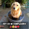 La Tarta Es Dulce, Pero el Silencio Es Amargo: Un Deseo de Cumpleaños Que No Se Escuchó 🎂😔