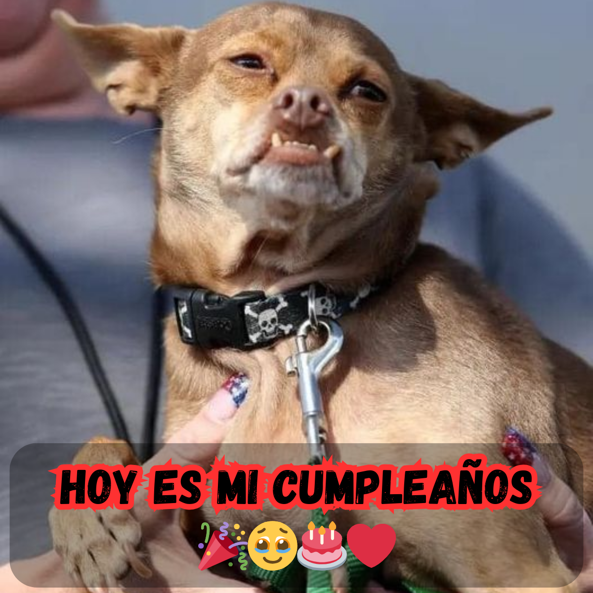 La extraña soledad de un día que se supone que es sobre ti