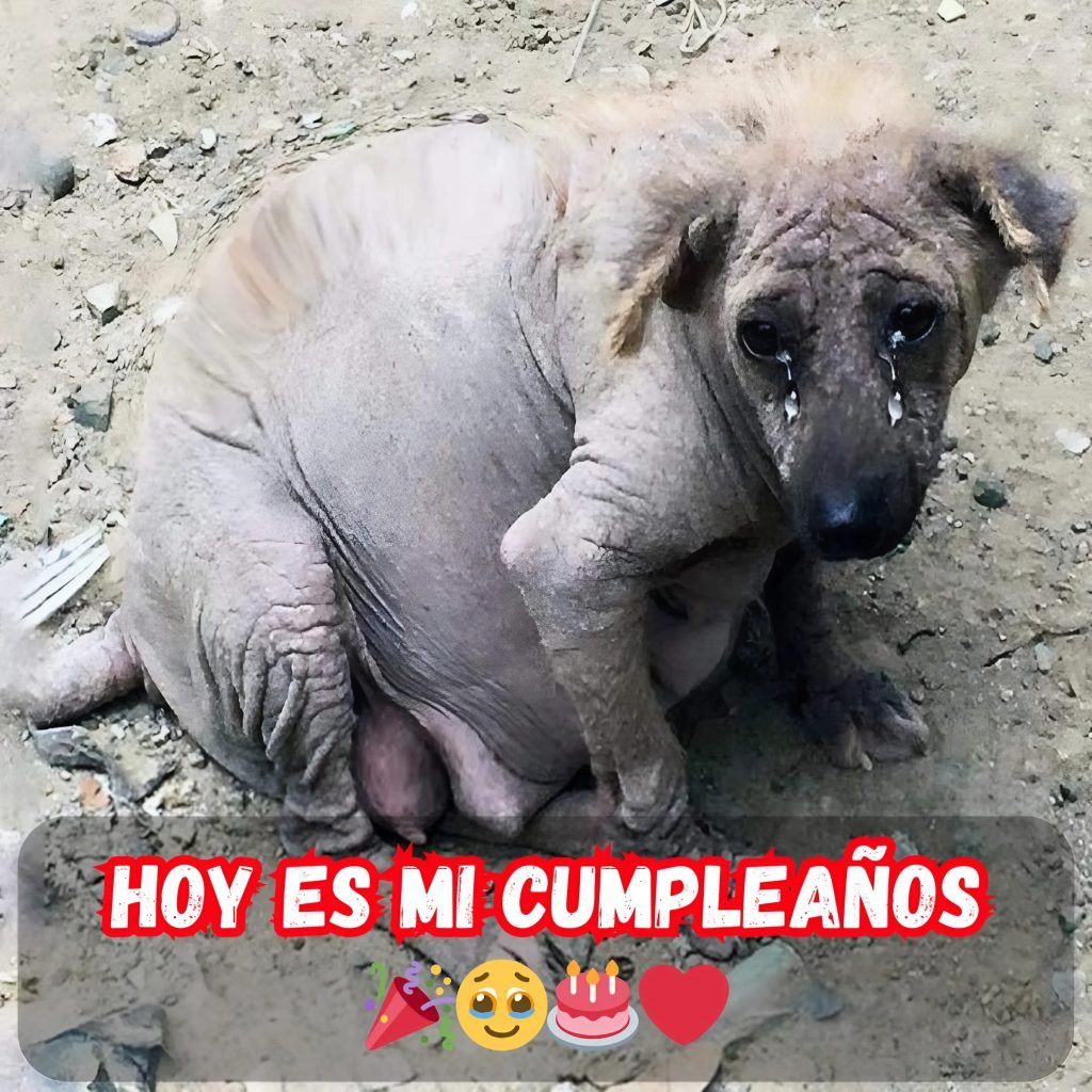 Mi cumpleaños pasó desapercibido: ¿por qué me siento tan solo? 🎉💔