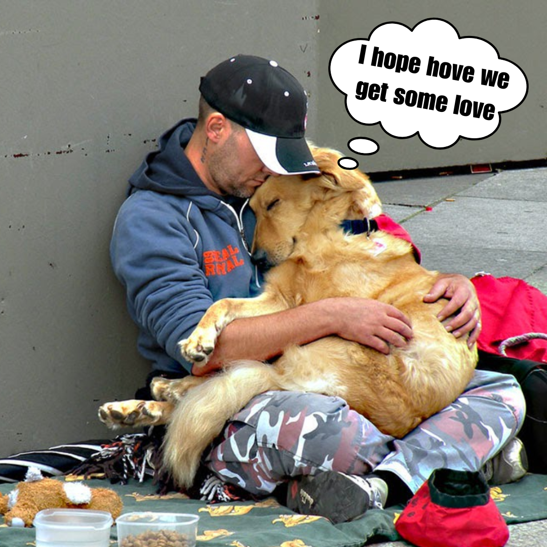 Millions of people worldwide are moved by the devoted and loyal dog stands by its homeless owner.